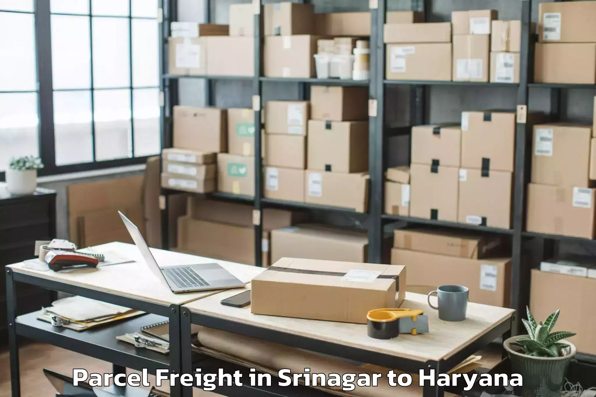 Efficient Srinagar to Kheri Sampla Parcel Freight